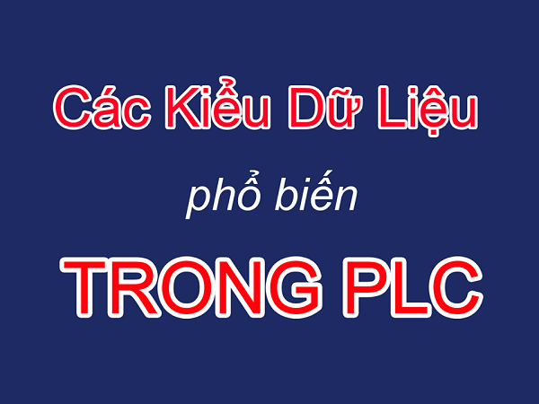 Các kiểu dữ liệu trong PLC